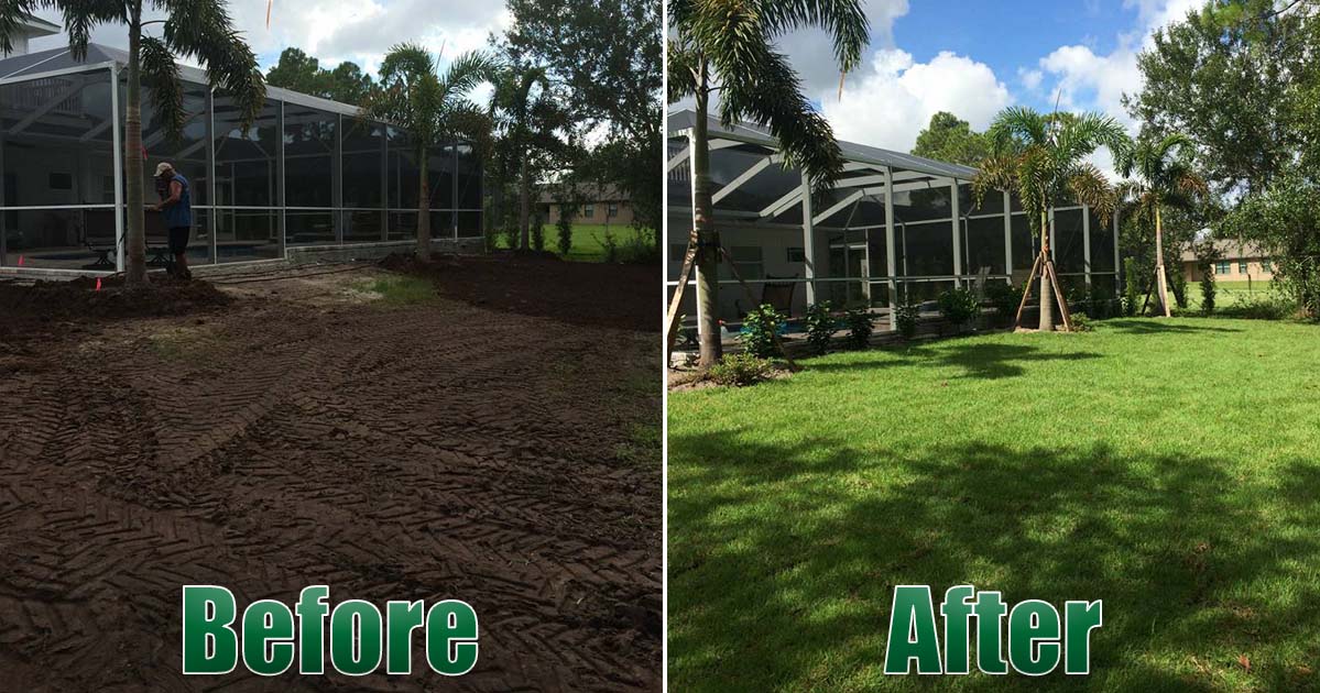 TerraScapes landscaping project shown before and after installation