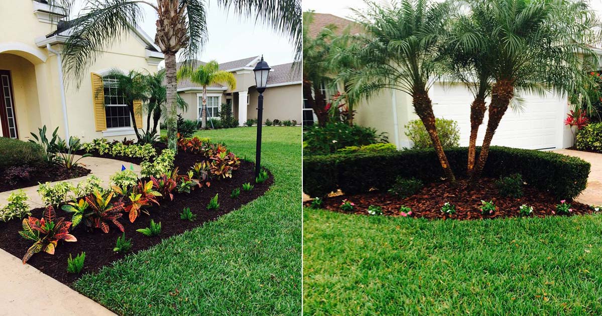 A manicured Florida lawn and landscape bed maintained by TerraScapes